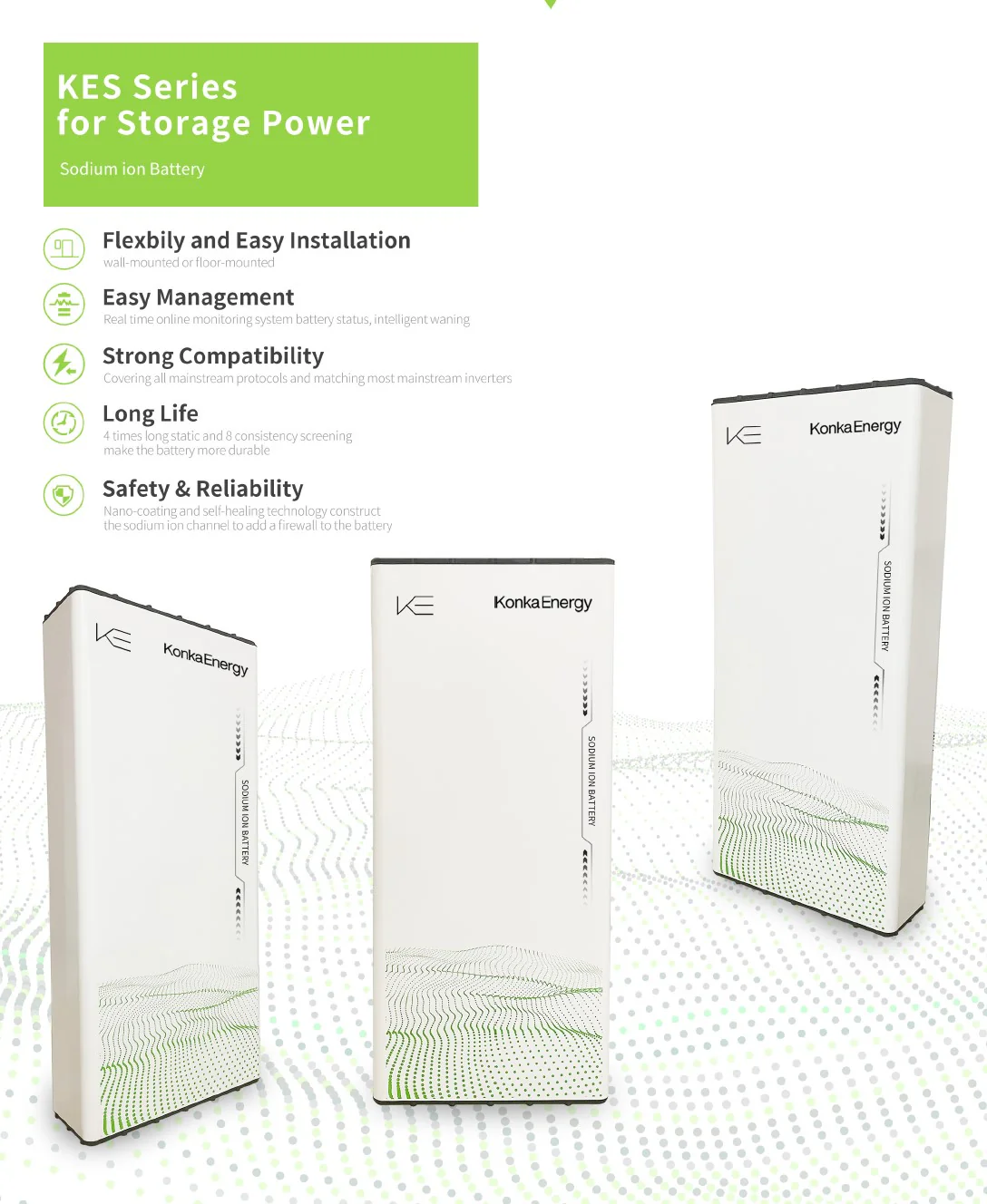 sodiumiondatasheetpage1 (1)